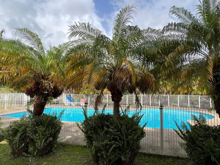Kanoa Lodge Piscine Et Vue Mer แซงต์-โคลด ภายนอก รูปภาพ