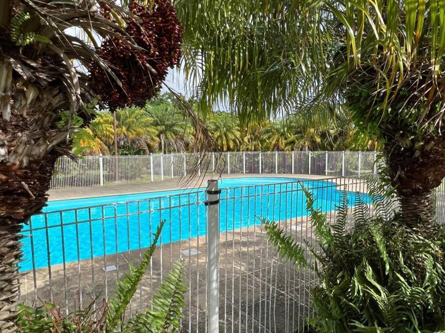 Kanoa Lodge Piscine Et Vue Mer แซงต์-โคลด ภายนอก รูปภาพ